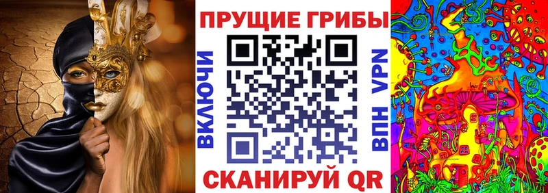 Купить  Ермолино  Галлюциногенные грибы Magic Shrooms 